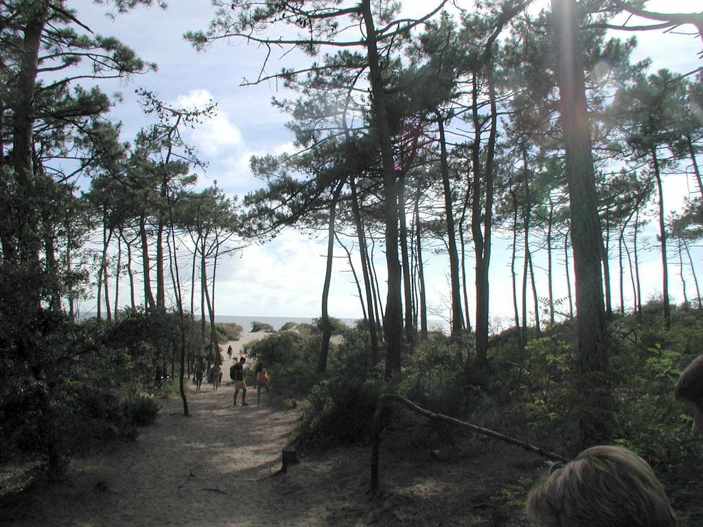 Studio Dunes Aux Ecureuils Saint-Palais-sur-Mer Buitenkant foto